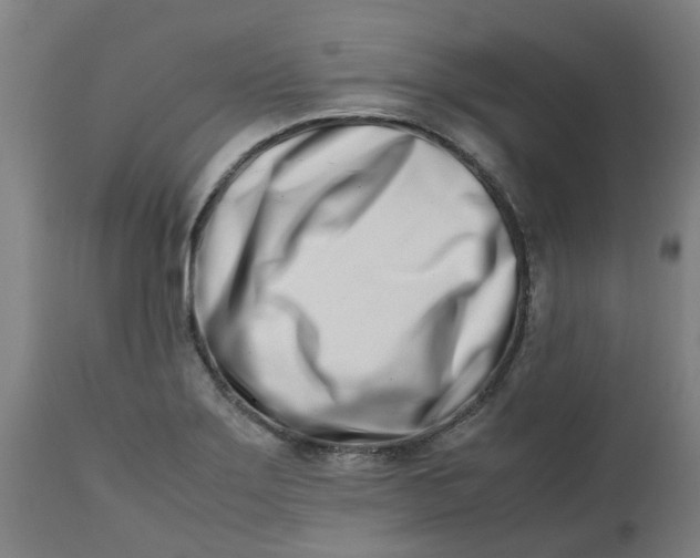 X0000112491275200909071213