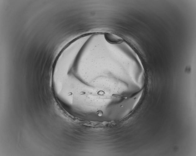 X0000112491276200909071213