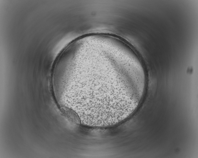 X0000112491277200909071213