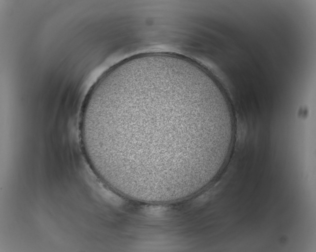 X0000112491278200909071213