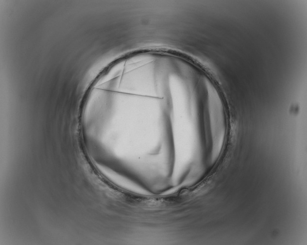 X0000112491279200909071213