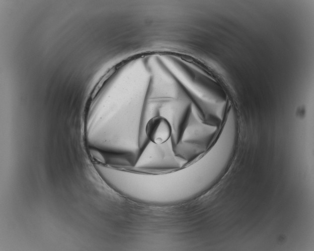 X0000112491280200909071213