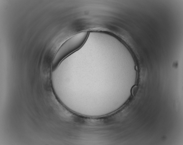 X0000112491281200909071213