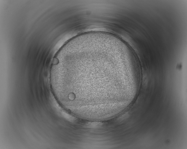 X0000112491282200909071212