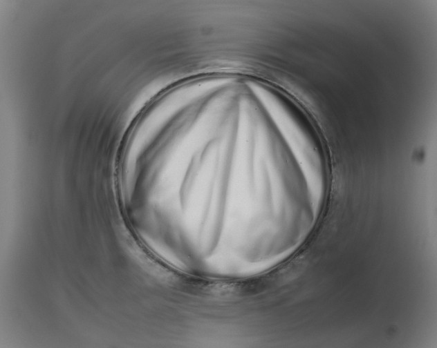 X0000112491283200909071212