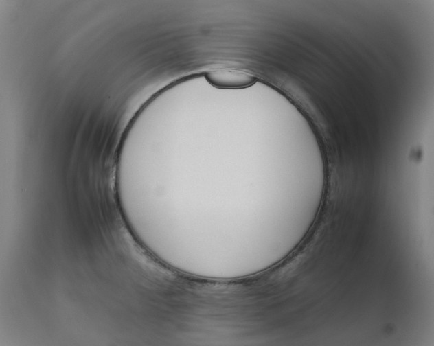 X0000112491284200909071212