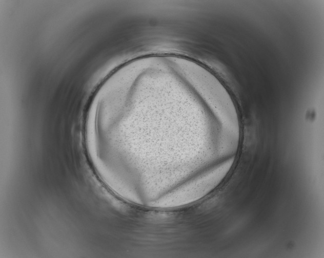 X0000112491286200909071212