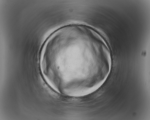 X0000112491287200909071212