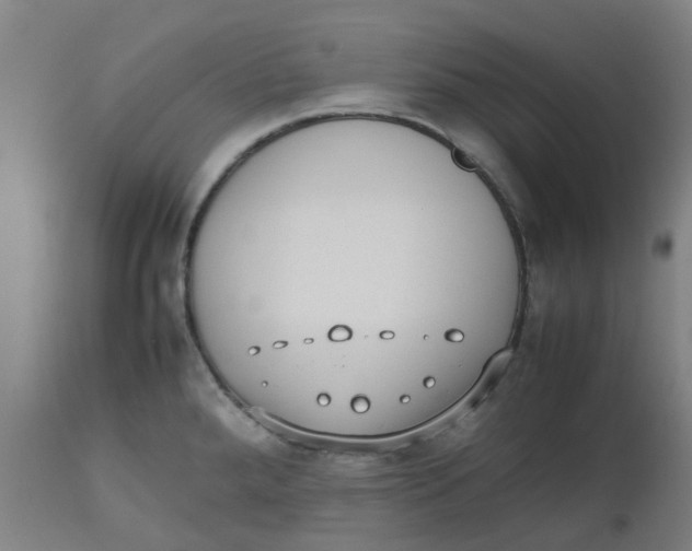 X0000112491288200909071212