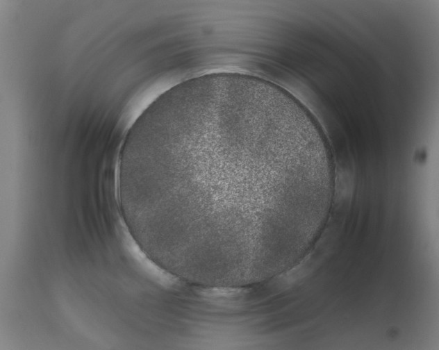 X0000112491290200909071212