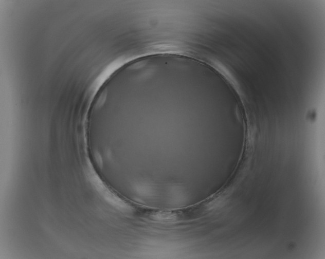 X0000112491291200909071212