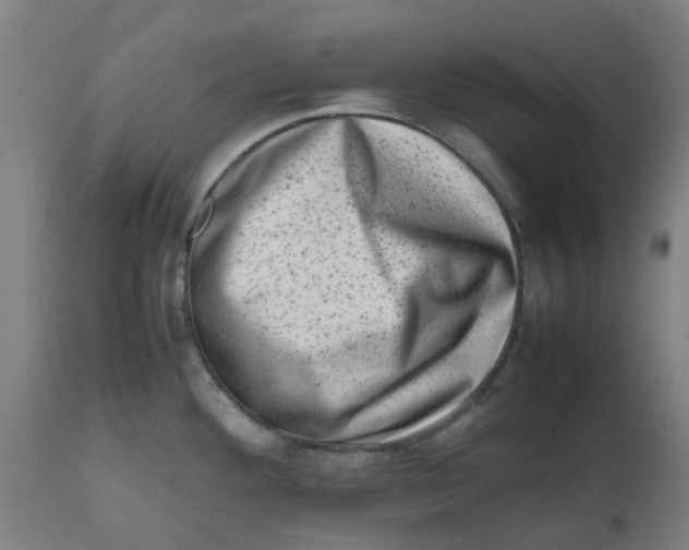 X0000112491292200909071212