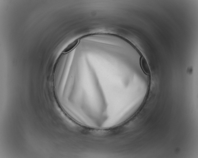 X0000112491293200909071212