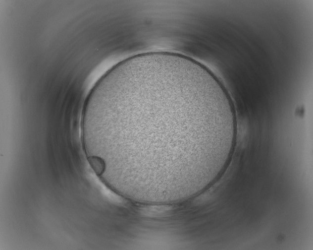 X0000112491294200909071212