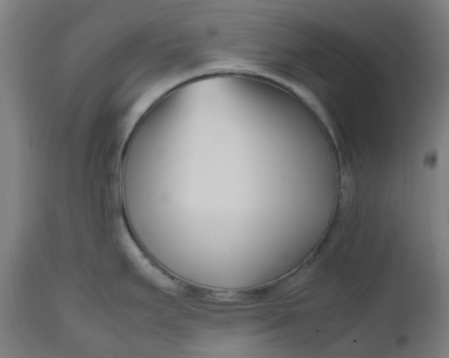 X0000112491295200909071212