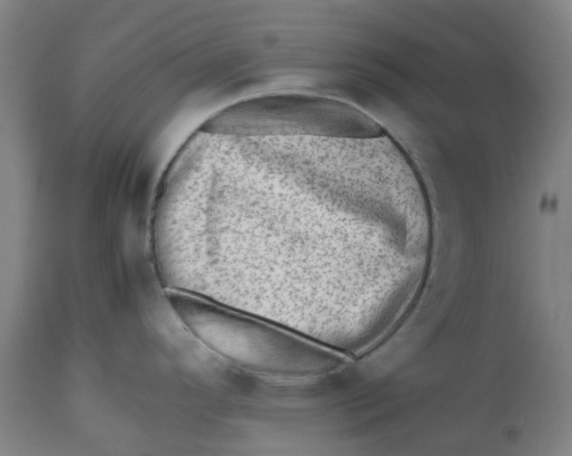 X0000112491296200909071212