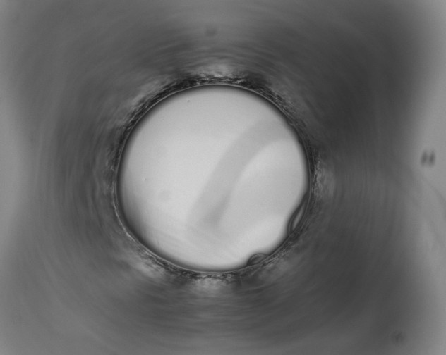 X0000112491297200909071211