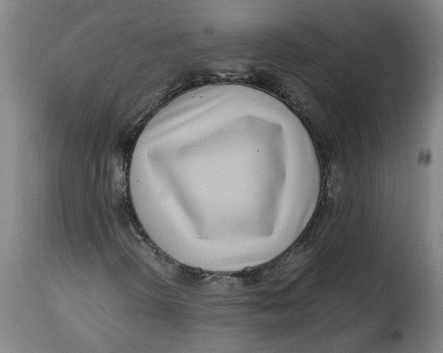 X0000112491298200909071211