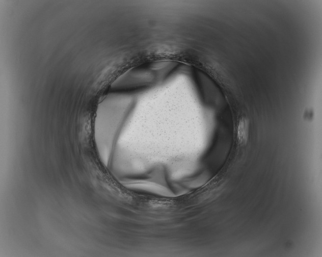 X0000112491299200909071211