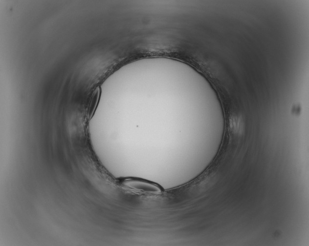 X0000112491300200909071211