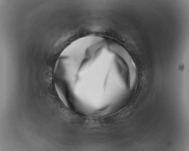 X0000112491301200909071211