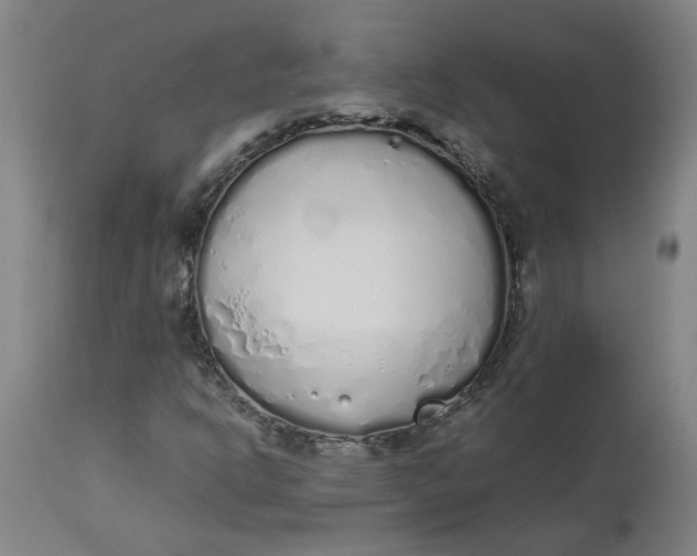 X0000112491302200909071211