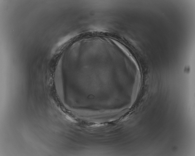 X0000112491303200909071211