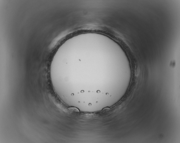 X0000112491304200909071211