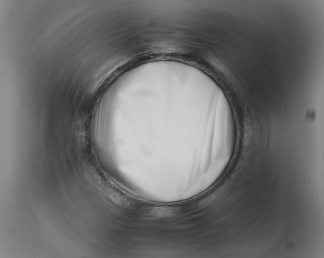 X0000112491305200909071211