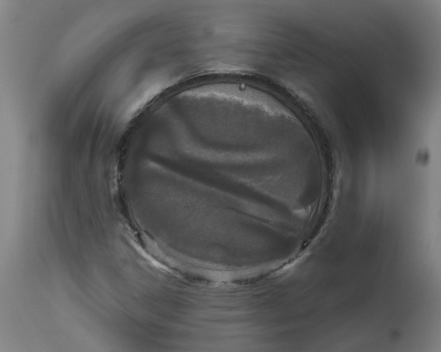 X0000112491306200909071211