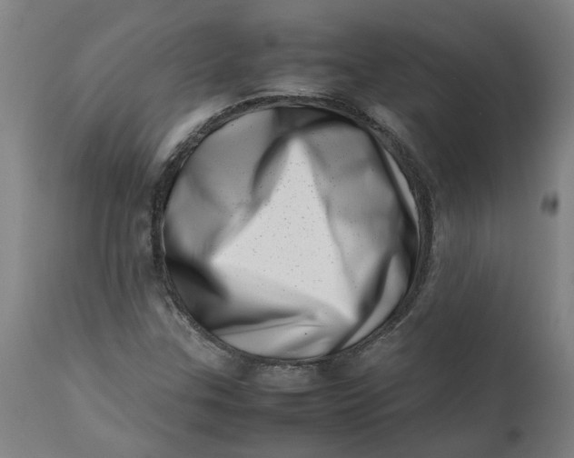 X0000112491307200909071211