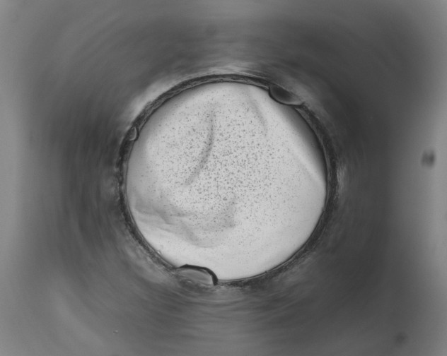 X0000112491308200909071211