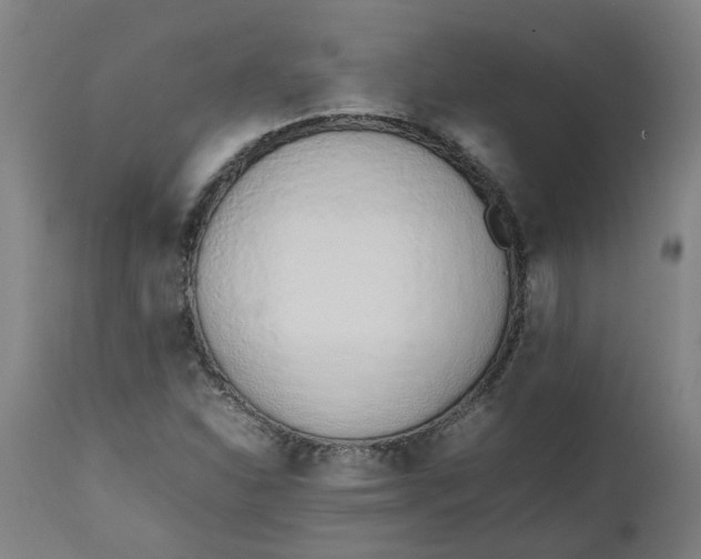 X0000112491310200909071211