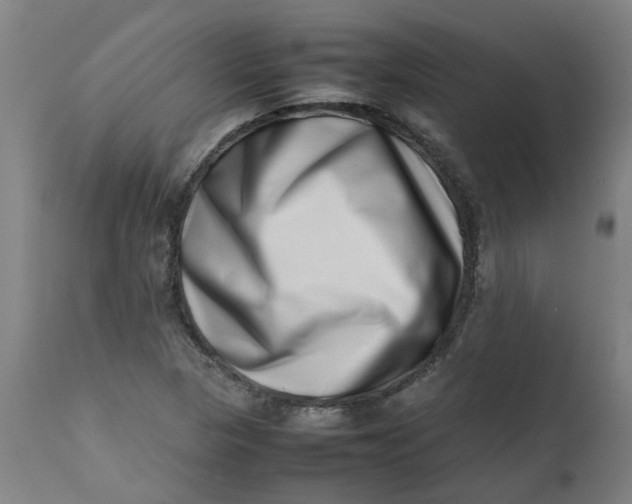 X0000112491313200909071212