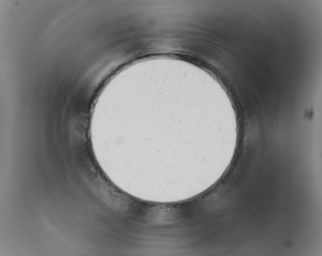 X0000112491314200909071212