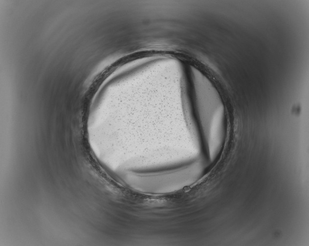 X0000112491315200909071212