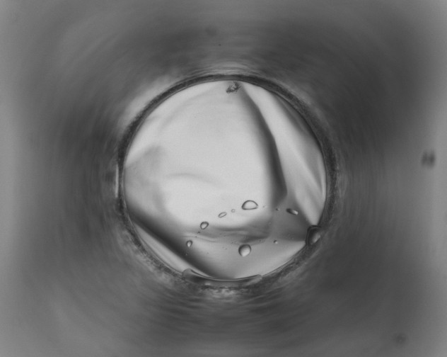 X0000112491317200909071212