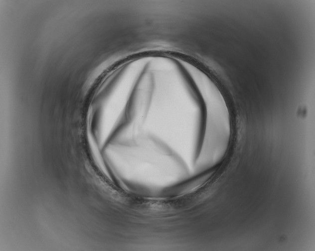 X0000112491318200909071212