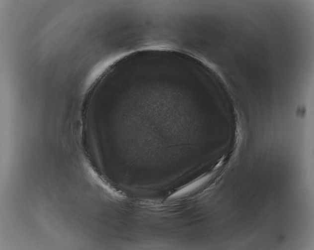 X0000112491319200909071212