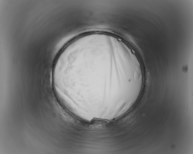 X0000112491320200909071212