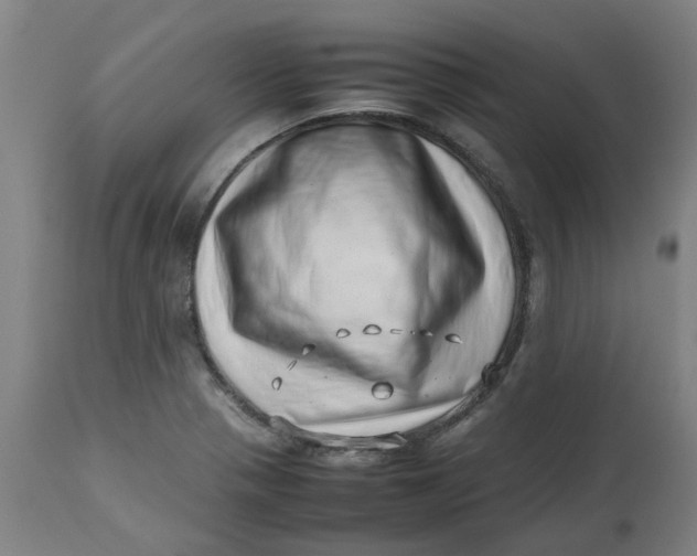 X0000112491321200909071212