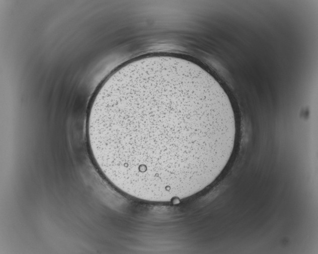 X0000112491322200909071212