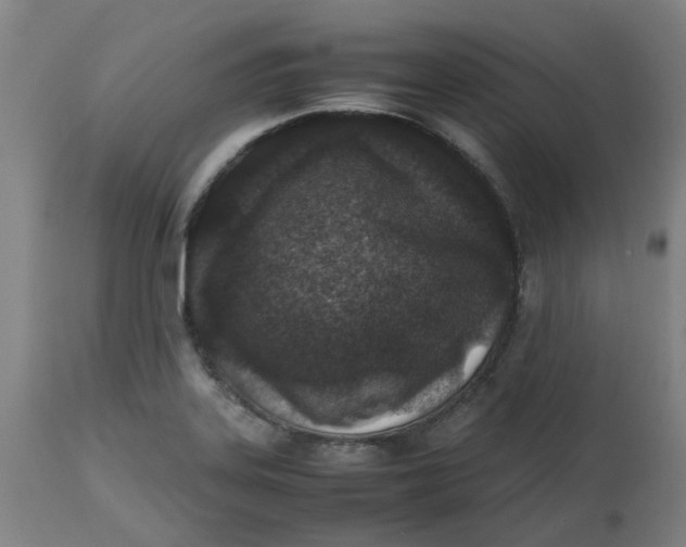 X0000112491323200909071212