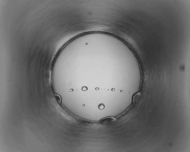 X0000112491324200909071212