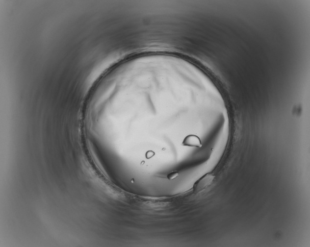 X0000112491325200909071212