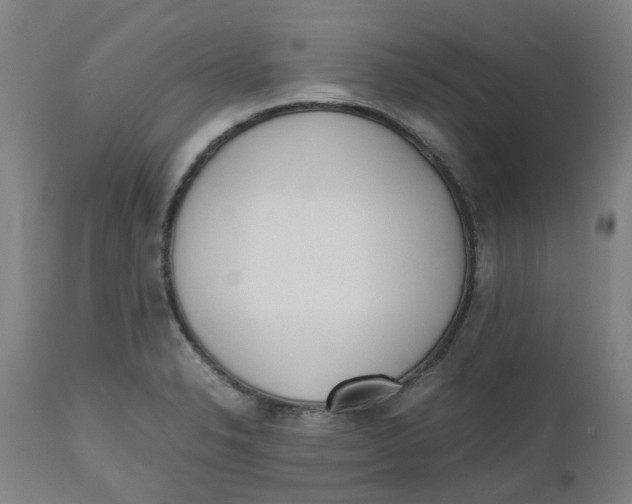 X0000112491326200909071212