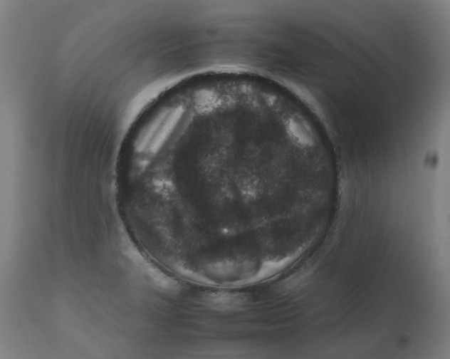 X0000112491327200909071212