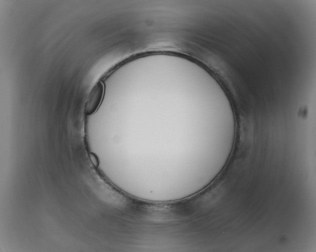 X0000112491328200909071212