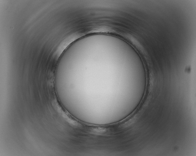 X0000112491329200909071212