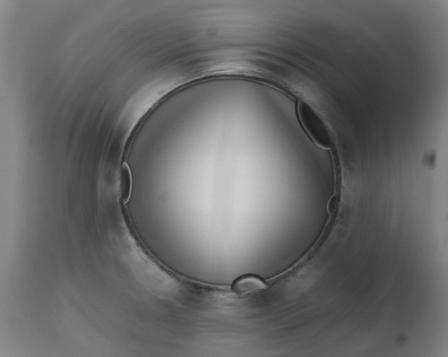 X0000112491330200909071212